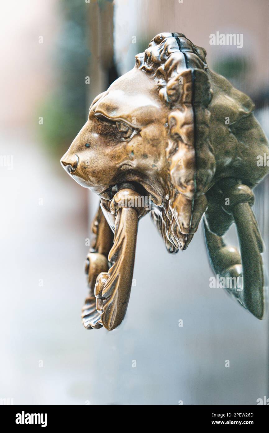 Brass Lionhead Lion Head Door Knocker Brass Door Knocker Holiday