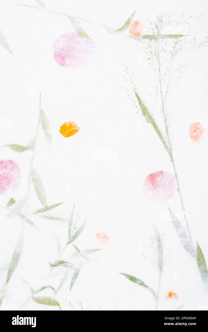 White handmade japanese paper texture background, Stock Photo