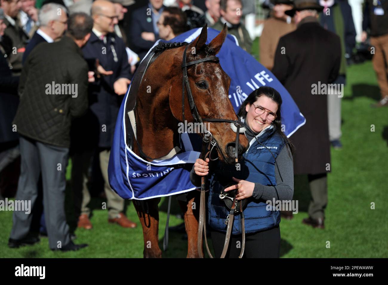 Arkle horse hi-res stock photography and images - Alamy