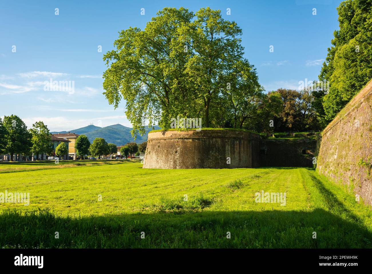 The historical and famous walls of Lucca city in the Tuscany region