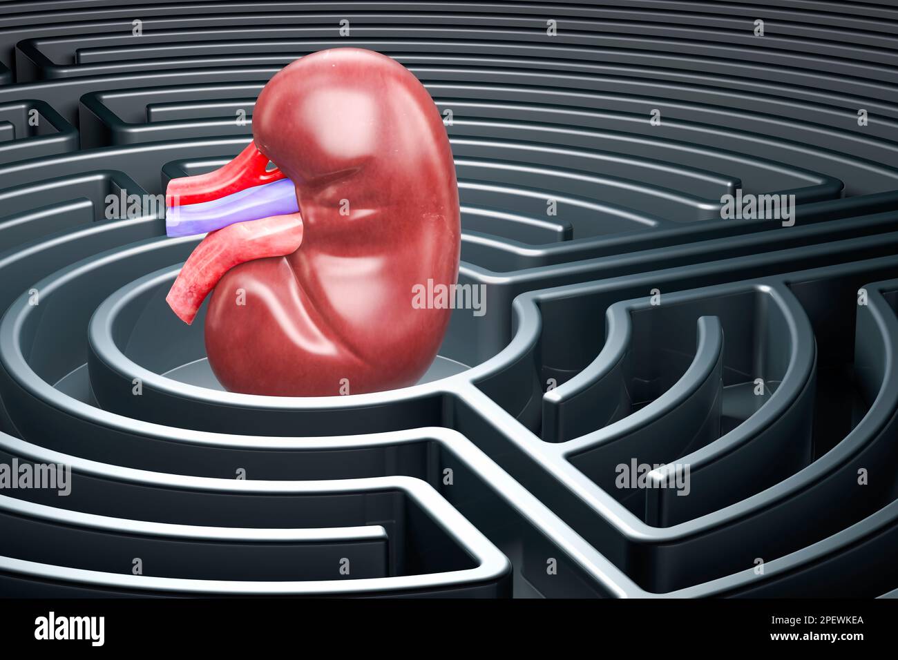 Human Kidney inside labyrinth, maze. 3D rendering Stock Photo