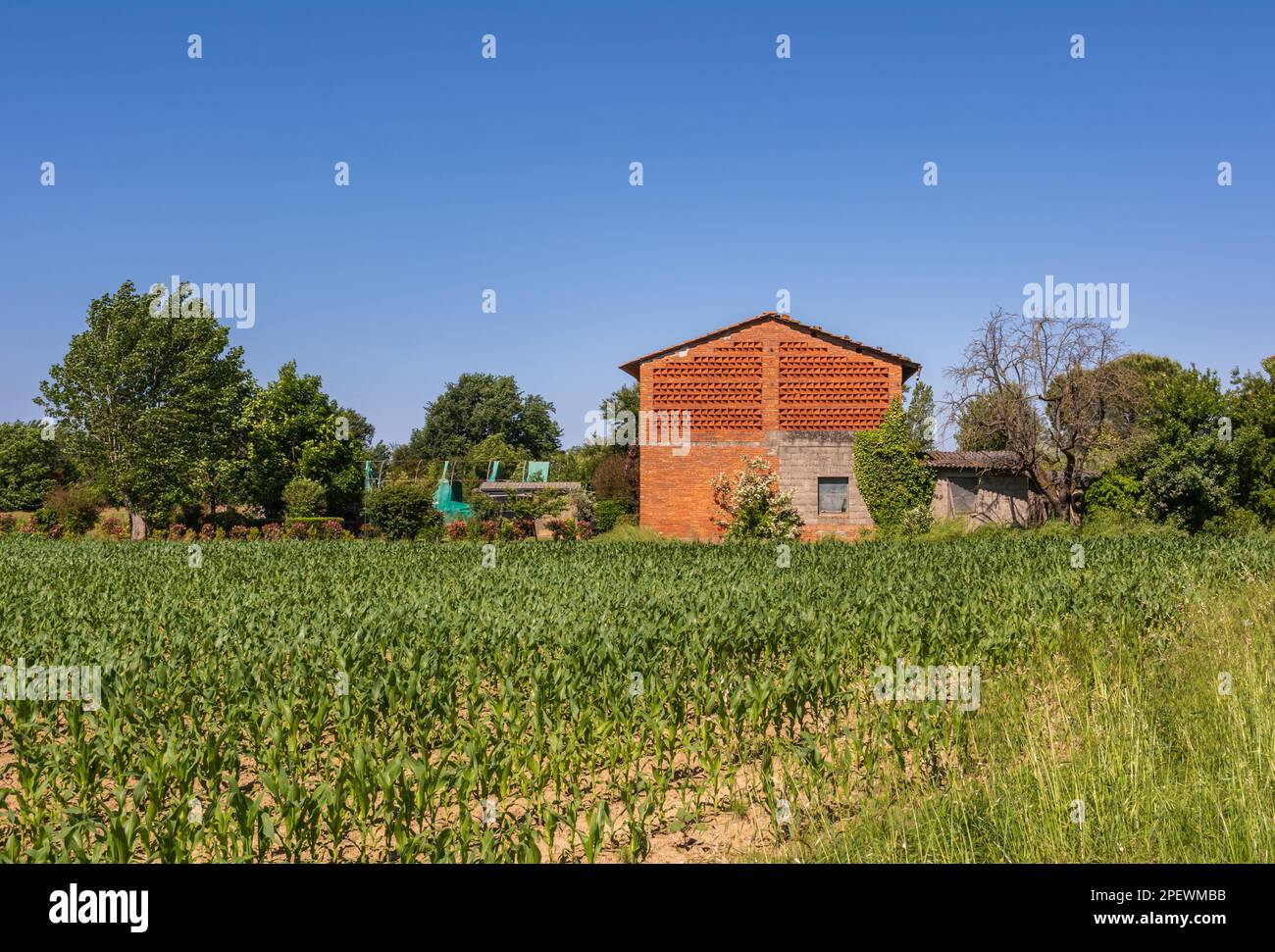 Baked brick half-timbered barn on farms in Tuscany region, near Capannori, Lucca, Italy with window made of herringbone tiles. COTTO GRATICT WALLS Stock Photo