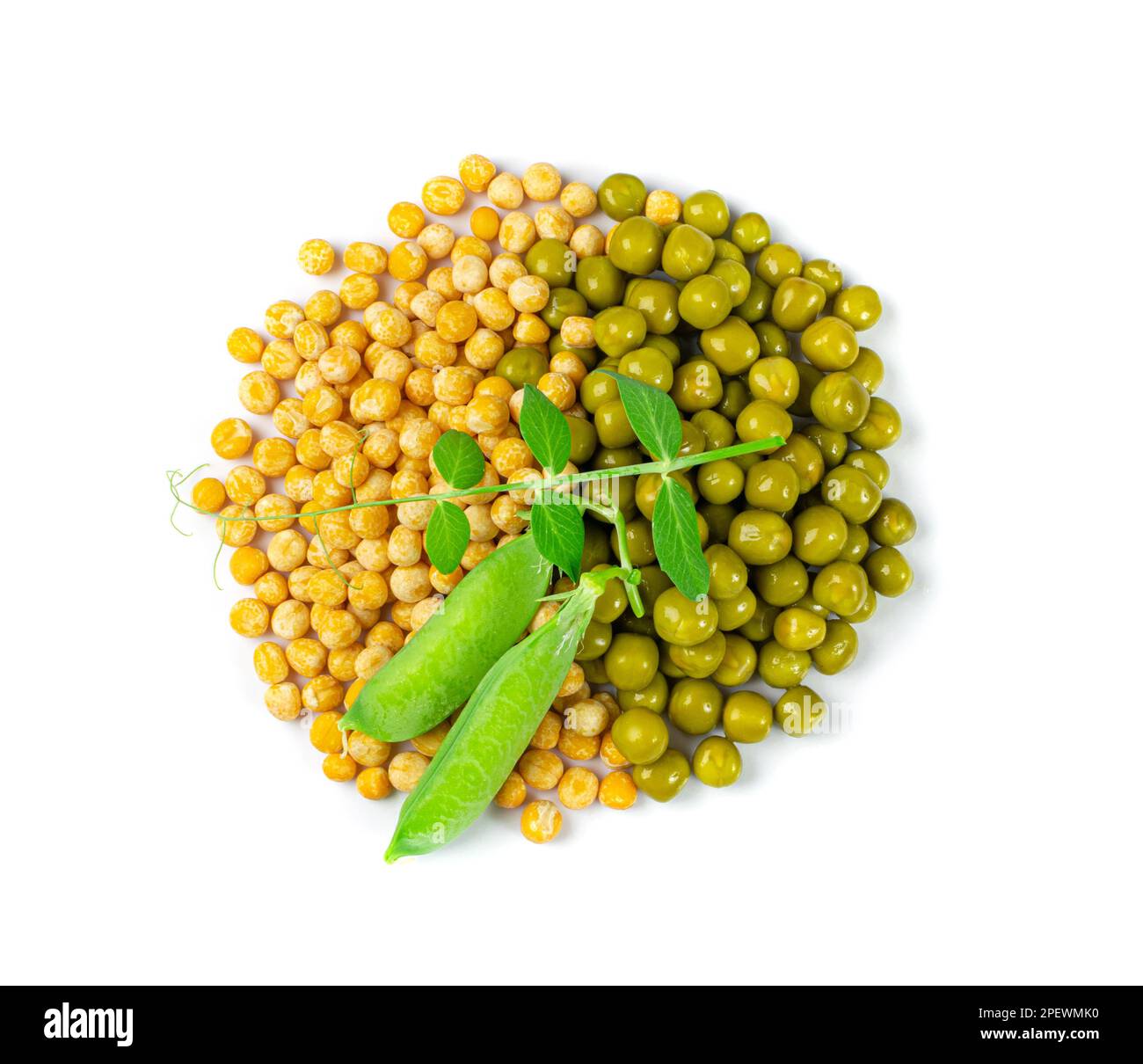 Dry Yellow and Green Peas Isolated, Whole Pea Pile, Raw Legume, Protein