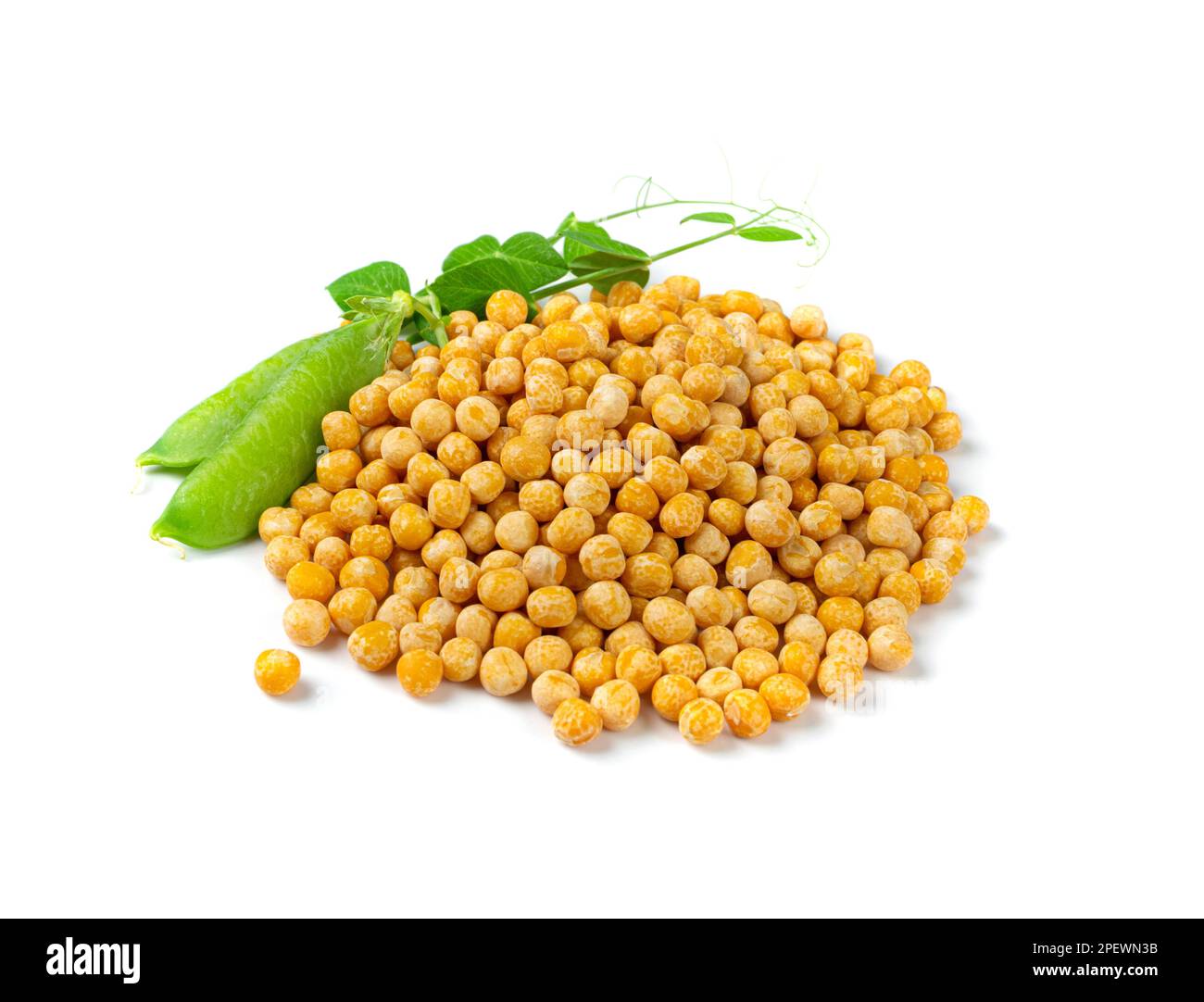 Dry Yellow and Fresh Green Peas Isolated, Whole Pea Pile, Raw Legume, Protein Source, Healthy