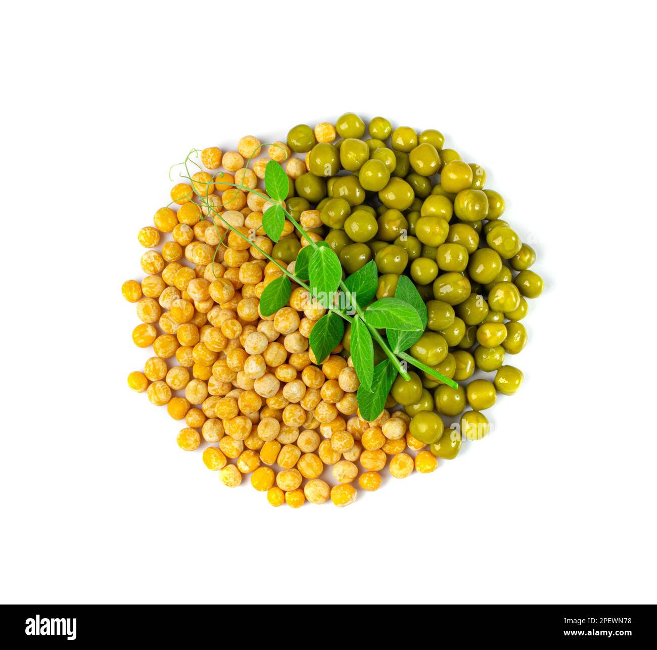 Dry Yellow and Green Peas Isolated, Whole Pea Pile, Raw Legume, Protein