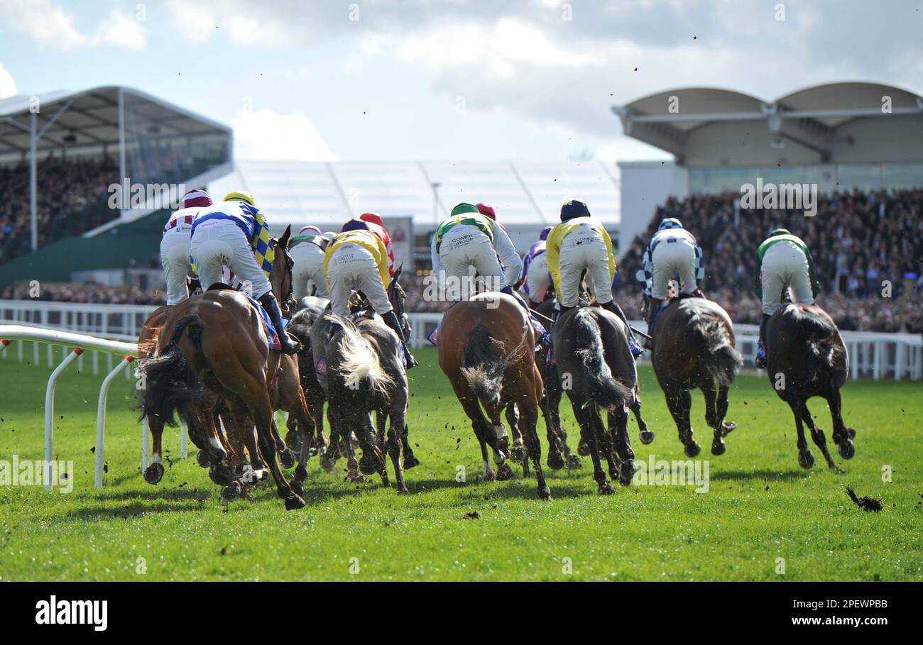 Race 1 The Sky Bet Supreme Novices Hurdle Race.   Horses on the first circuit    Racing at Cheltenham Racecourse on Day 1 of The Festival, the celebra Stock Photo