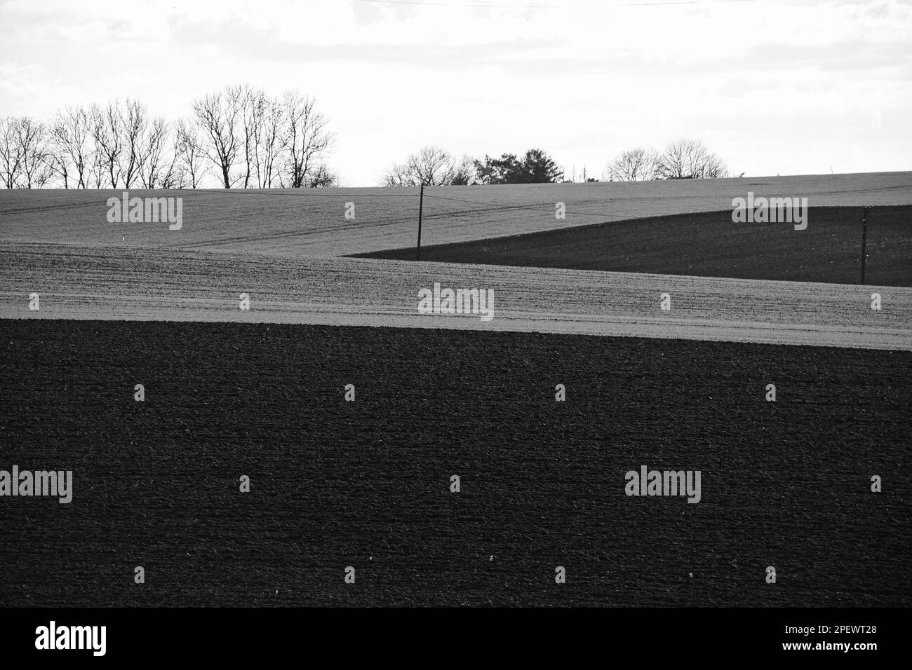 A grayscale of a rural landscape, with rolling hills and a line of