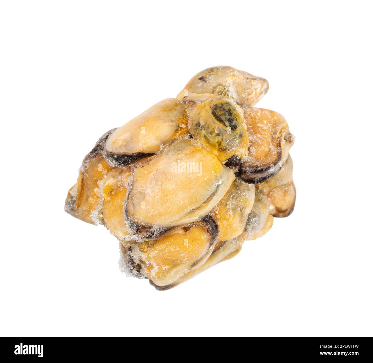 Frozen Mussels Pile Isolated, Unshelled Clam, Frozen Peeled Mussel
