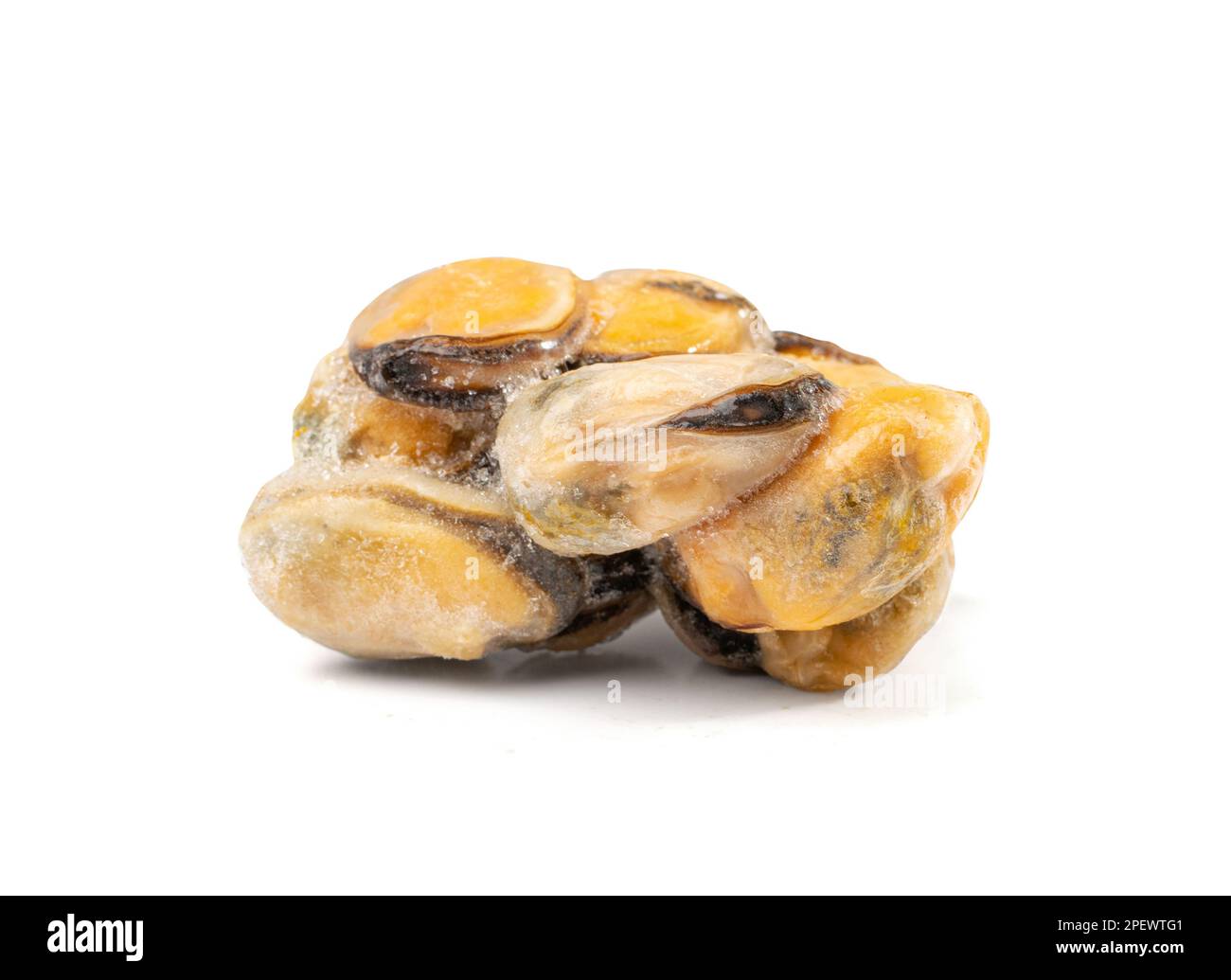 Frozen Mussels Pile Isolated, Unshelled Clam, Frozen Peeled Mussel, Cold Mussels Meat, Iced Seafood, Cooked Shellfish on White Background Stock Photo