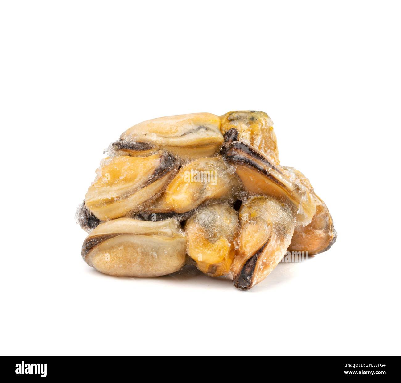 Frozen Mussels Pile Isolated, Unshelled Clam, Frozen Peeled Mussel, Cold Mussels Meat, Iced Seafood, Cooked Shellfish on White Background Stock Photo