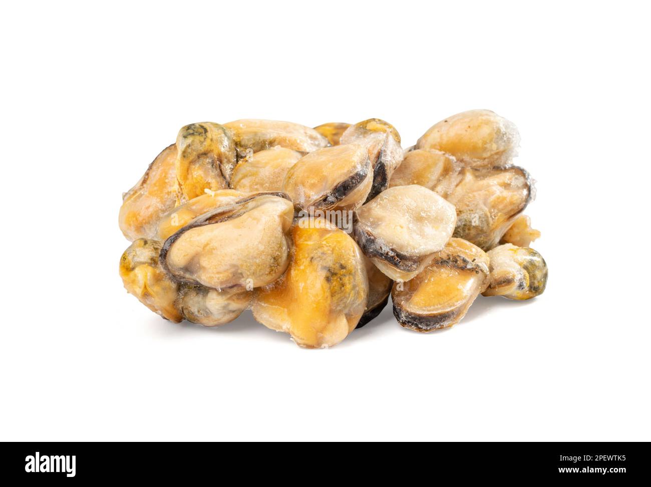 Frozen Mussels Pile Isolated, Unshelled Clam, Frozen Peeled Mussel, Cold Mussels Meat, Iced