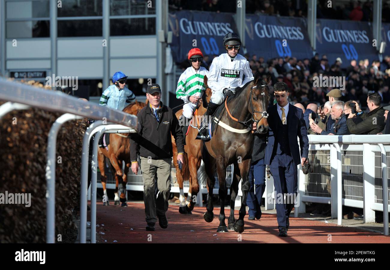Constitution hill horse cheltenham hires stock photography and images Alamy