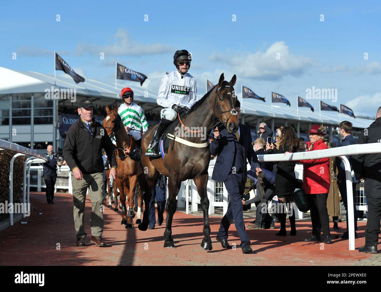 Constitution hill horse cheltenham hires stock photography and images Alamy