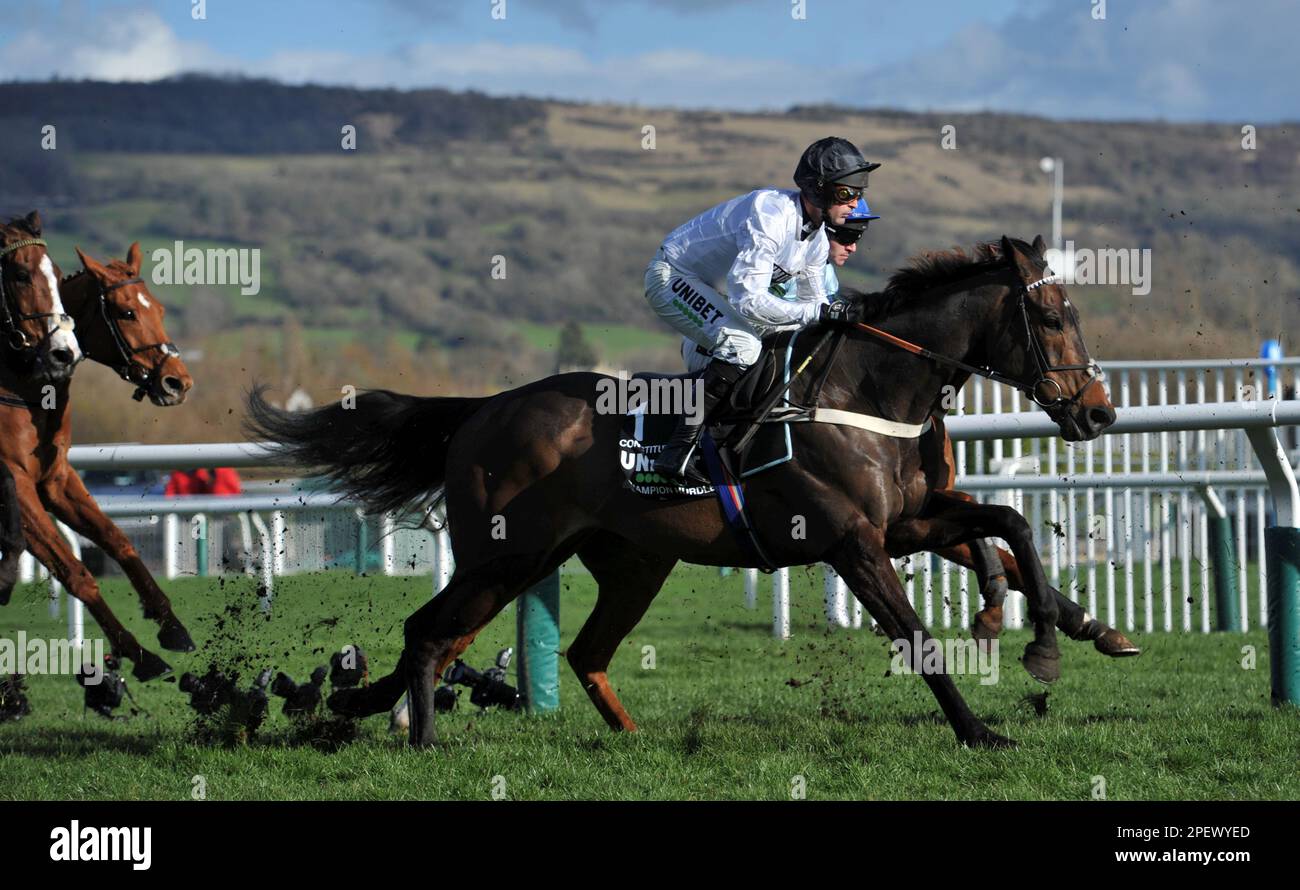 Constitution Hill Horse Cheltenham Hi Res Stock Photography And Images