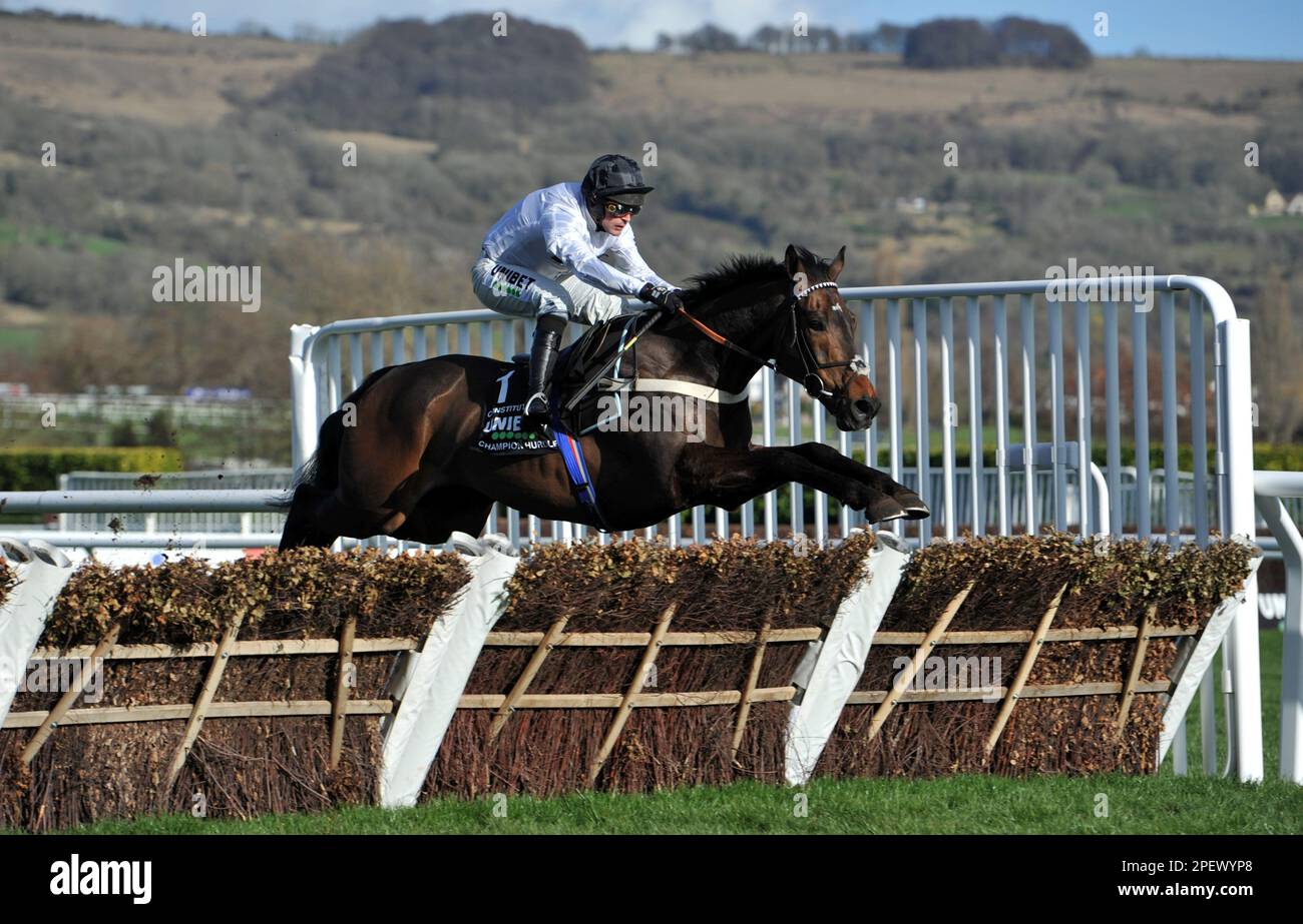Race 4 The Unibet Champion Hurdle.   Race winner Constitution Hill ridden by Nico de Boinville jumps the last in front.    Racing at Cheltenham Raceco Stock Photo