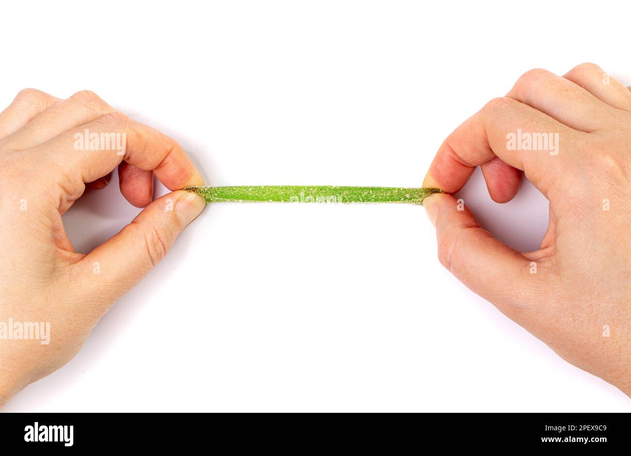 Stretch Gummy Candy Isolated, Green Chewing Marmalade Stick, Jelly