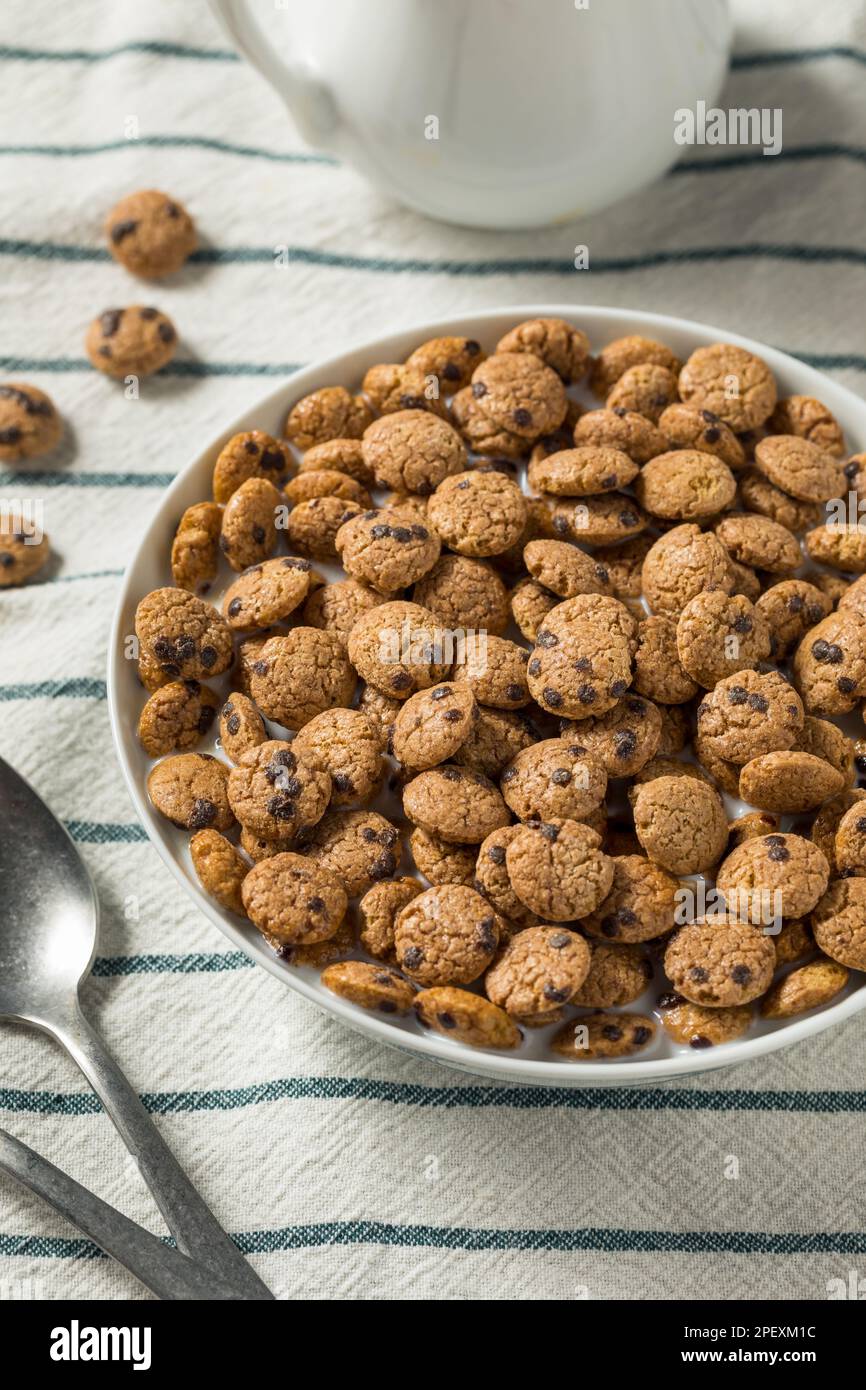 Crispy Chocolate Chip Cookie Breakfast Cereal with Milk Stock Photo Alamy
