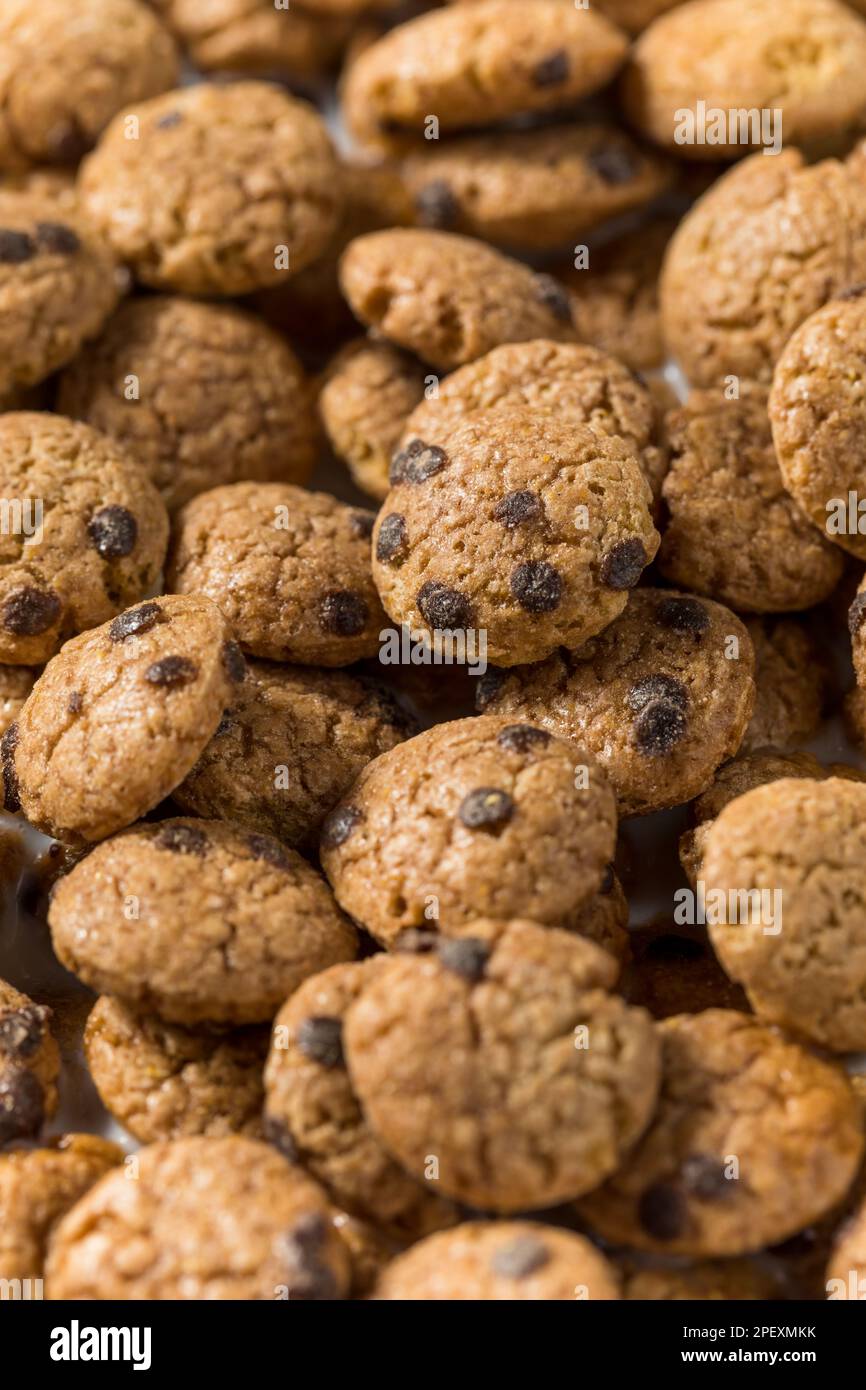 Crispy Chocolate Chip Cookie Breakfast Cereal with Milk Stock Photo Alamy