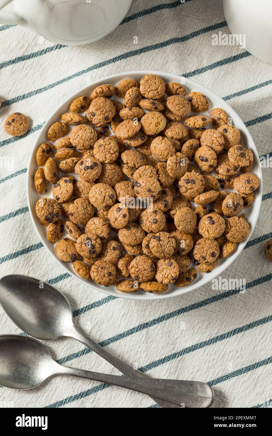 Crispy Chocolate Chip Cookie Breakfast Cereal with Milk Stock Photo Alamy