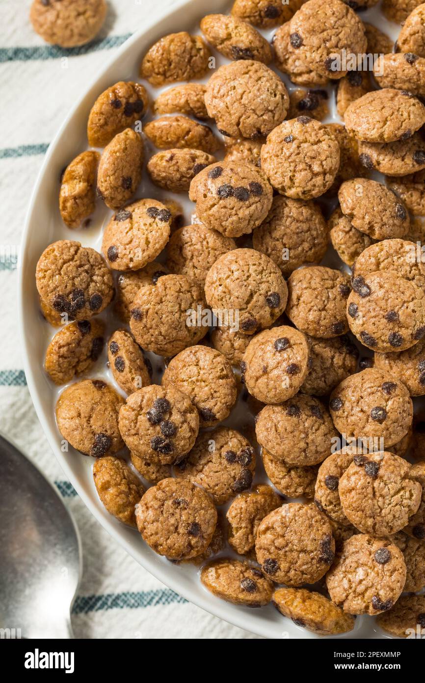 Crispy Chocolate Chip Cookie Breakfast Cereal with Milk Stock Photo Alamy