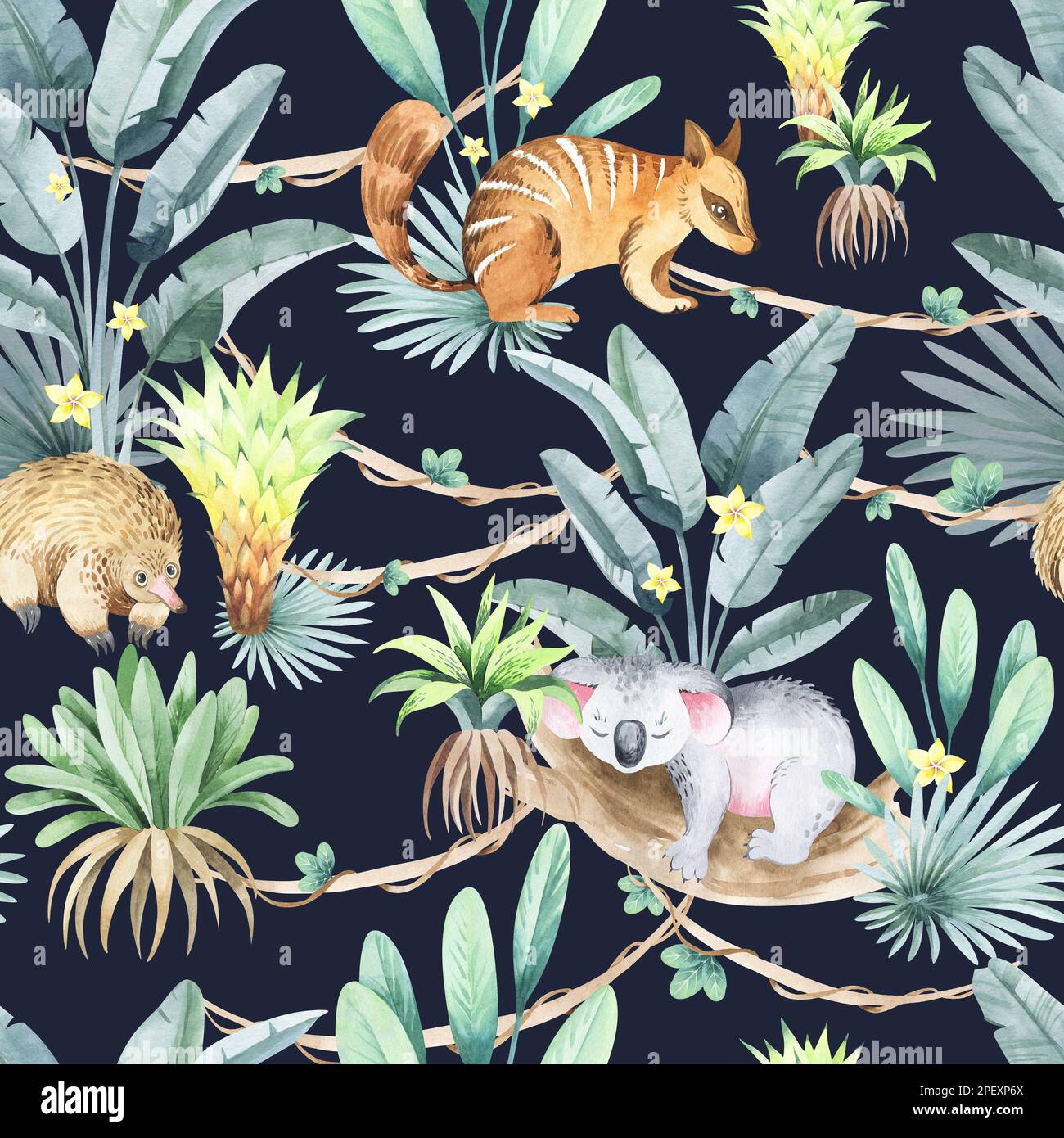Australia animals seamless pattern with tropical blooming flowers and ...