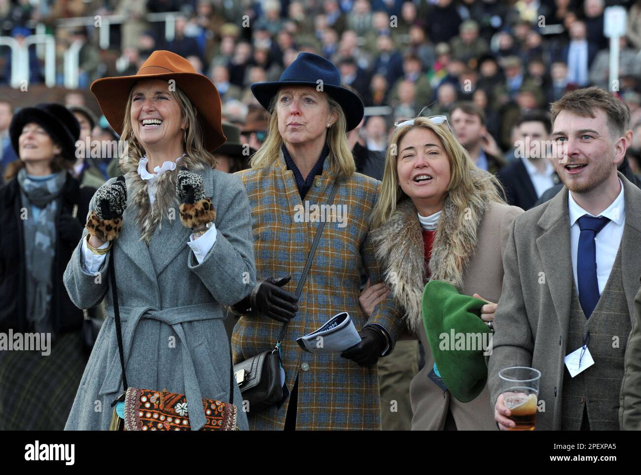 Handicap hurdle at cheltenham racecourse hi-res stock photography and ...