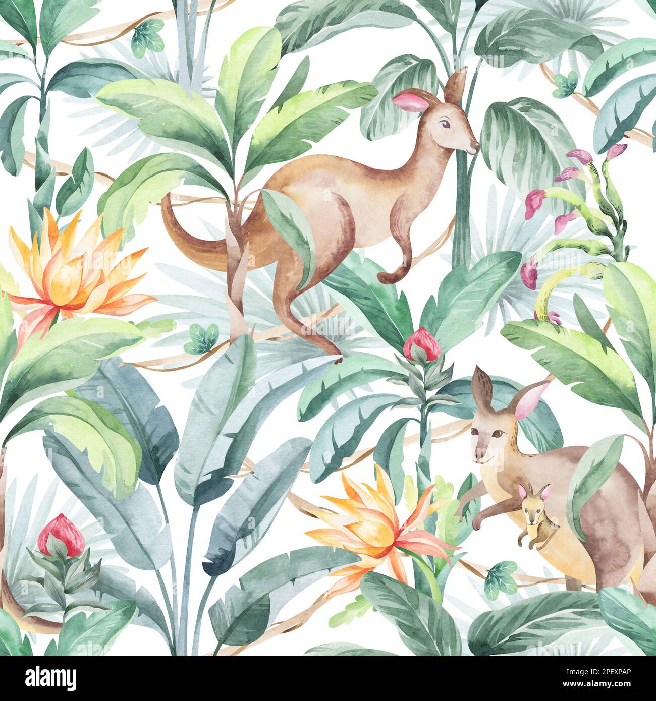 Australia animals seamless pattern with tropical blooming flowers and ...