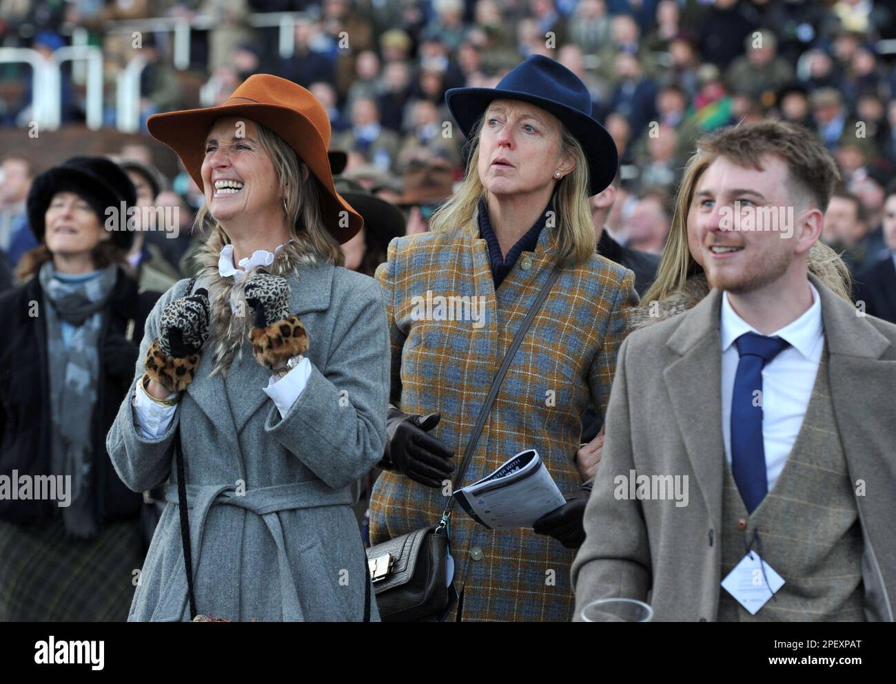 Handicap hurdle at cheltenham racecourse hi-res stock photography and ...
