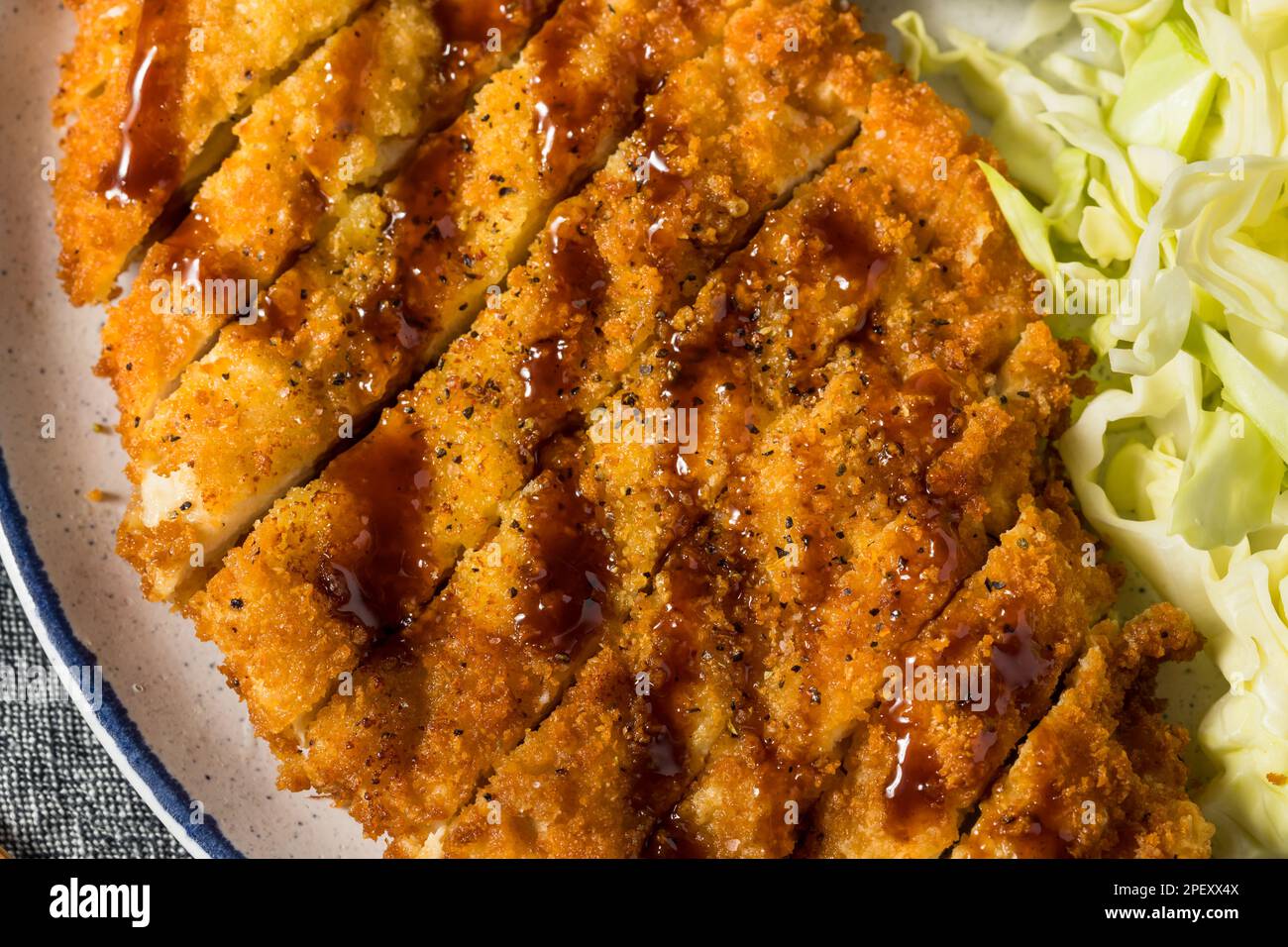 Homemade Japanese Chicken Katsu with Cabbage and Tonkatsu Sauce Stock