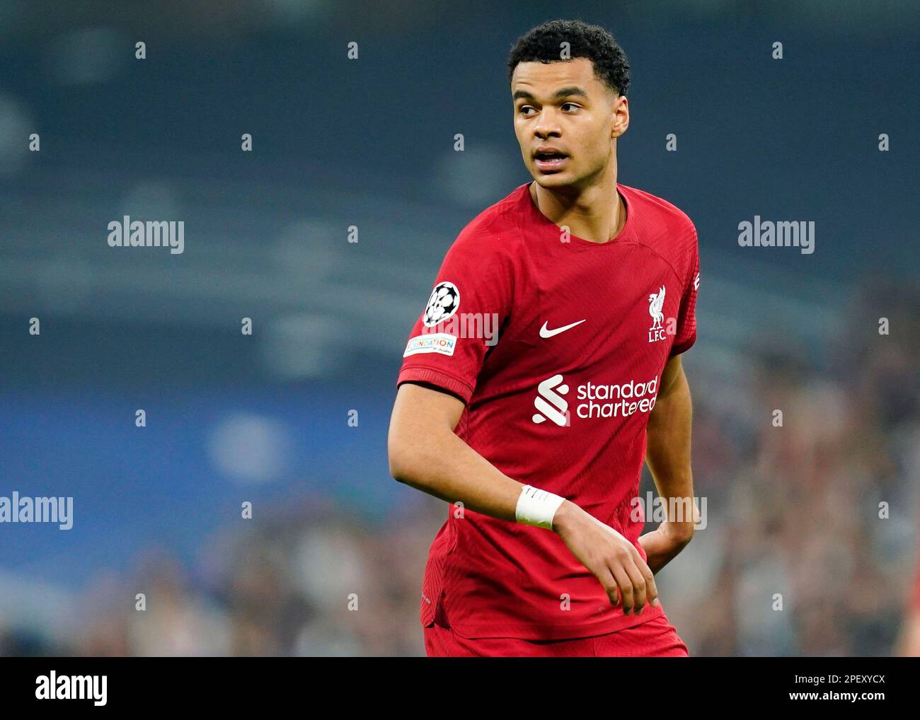 Cody Gakpo of Liverpool FC during the UEFA Champions League match, round of 16, 2nd leg between Real Madrid and Liverpool FC played at Santiago Bernabeu Stadium on March 15, 2023 in Madrid, Spain. (Photo by Colas Buera / PRESSIN) Stock Photo