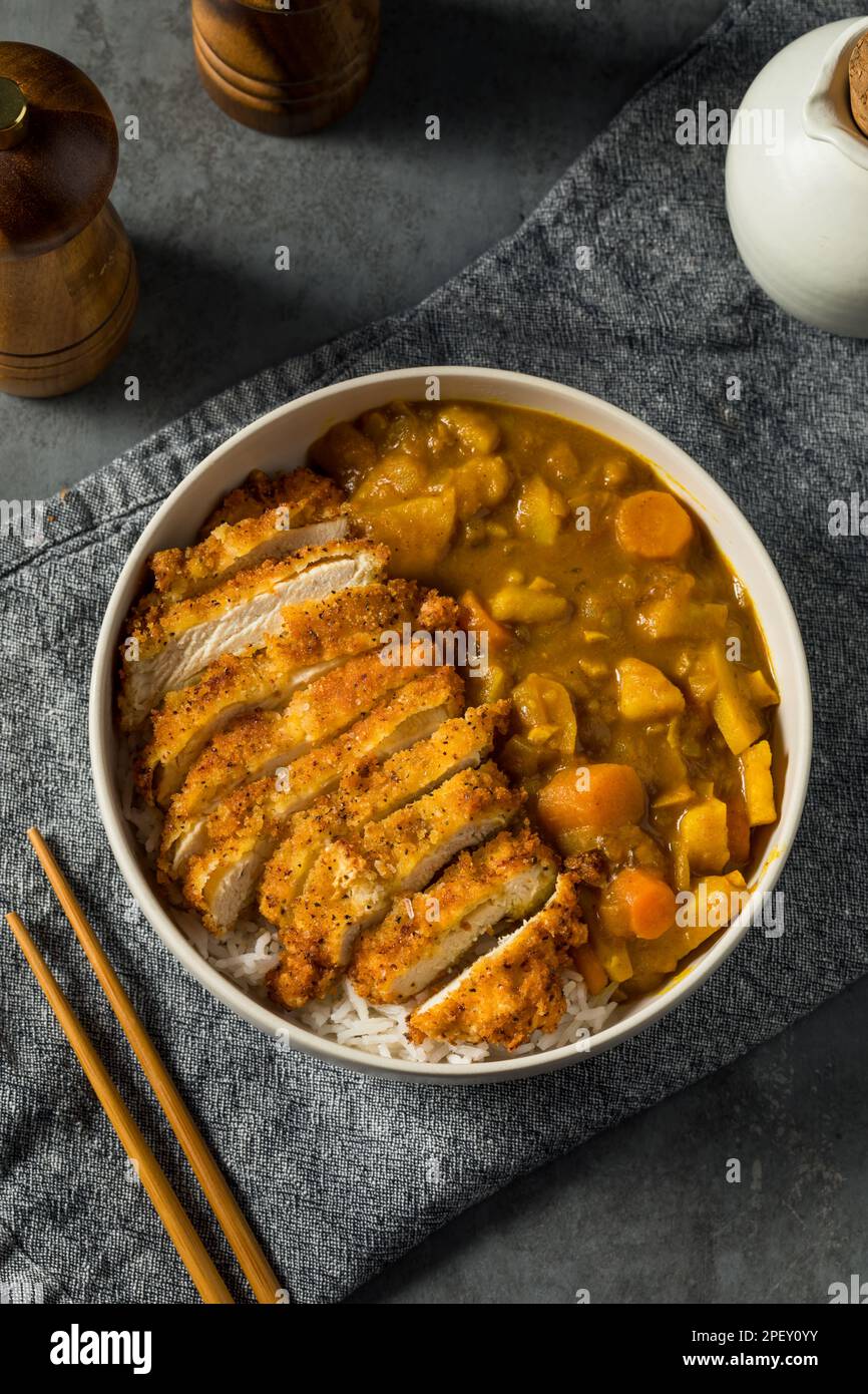Japanese Chicken Katsu Curry Stew with Rice Stock Photo
