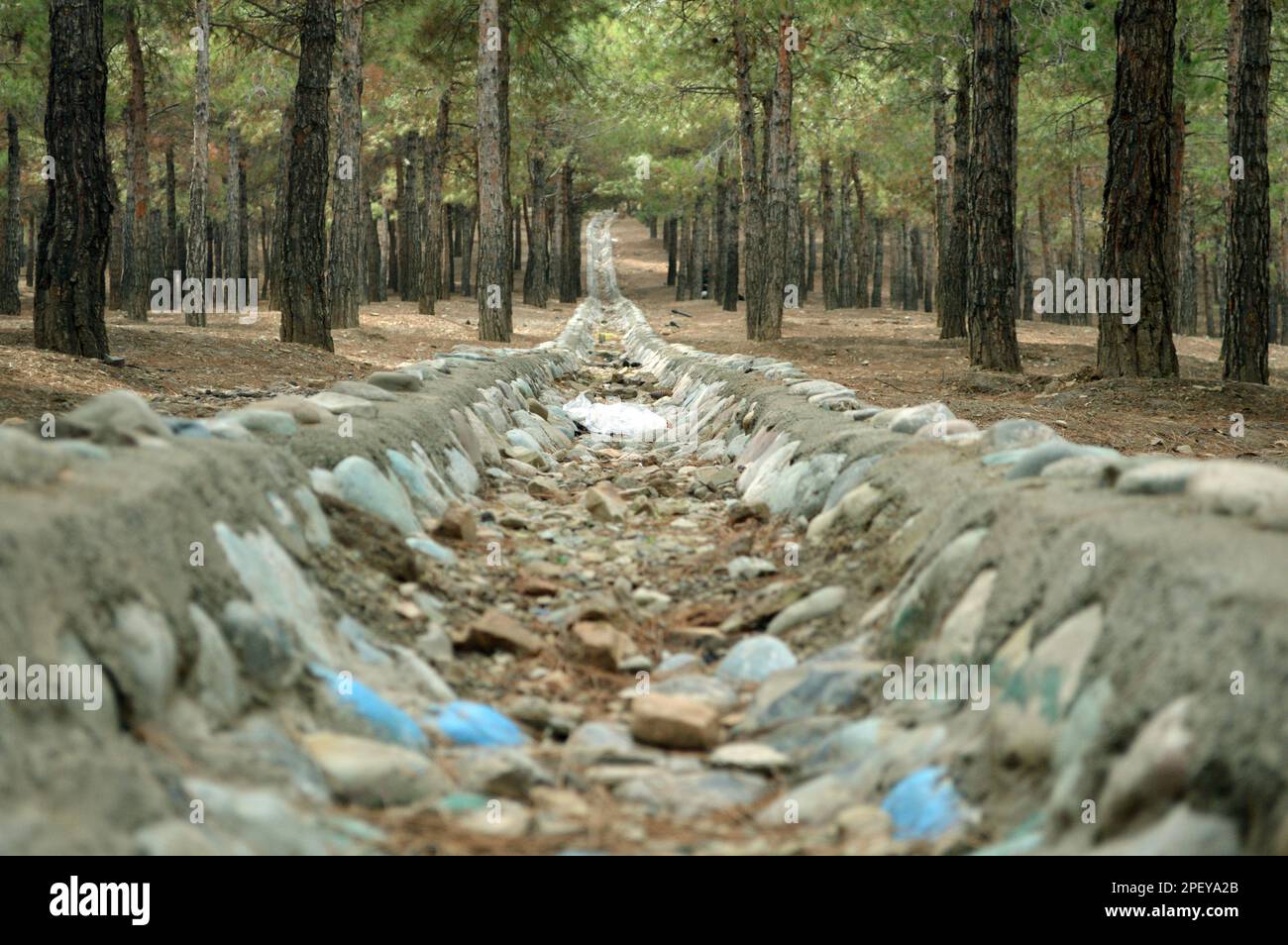 A dirt path winding through a lush forest with rocks scattered along ...
