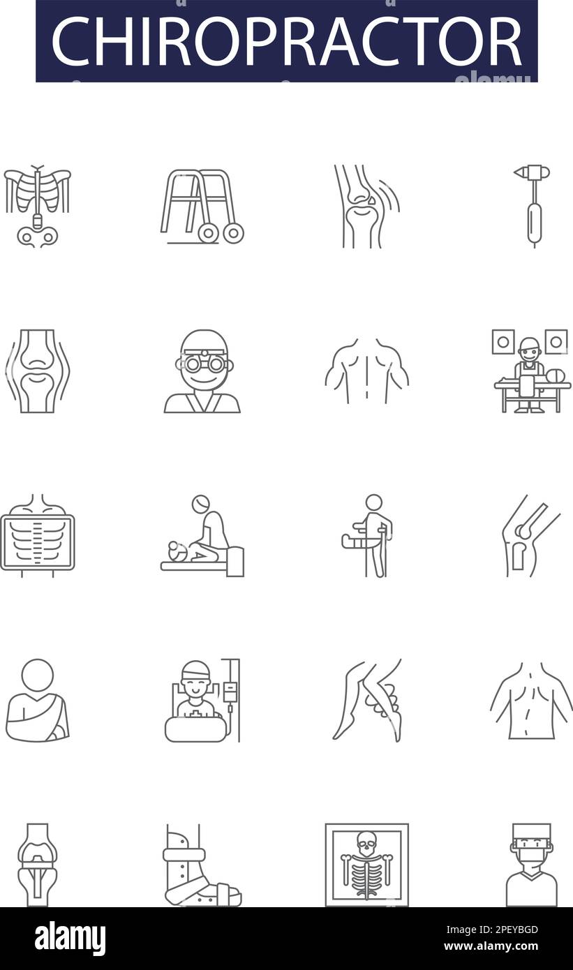 Thoracic spinal nerves Stock Vector Images Alamy