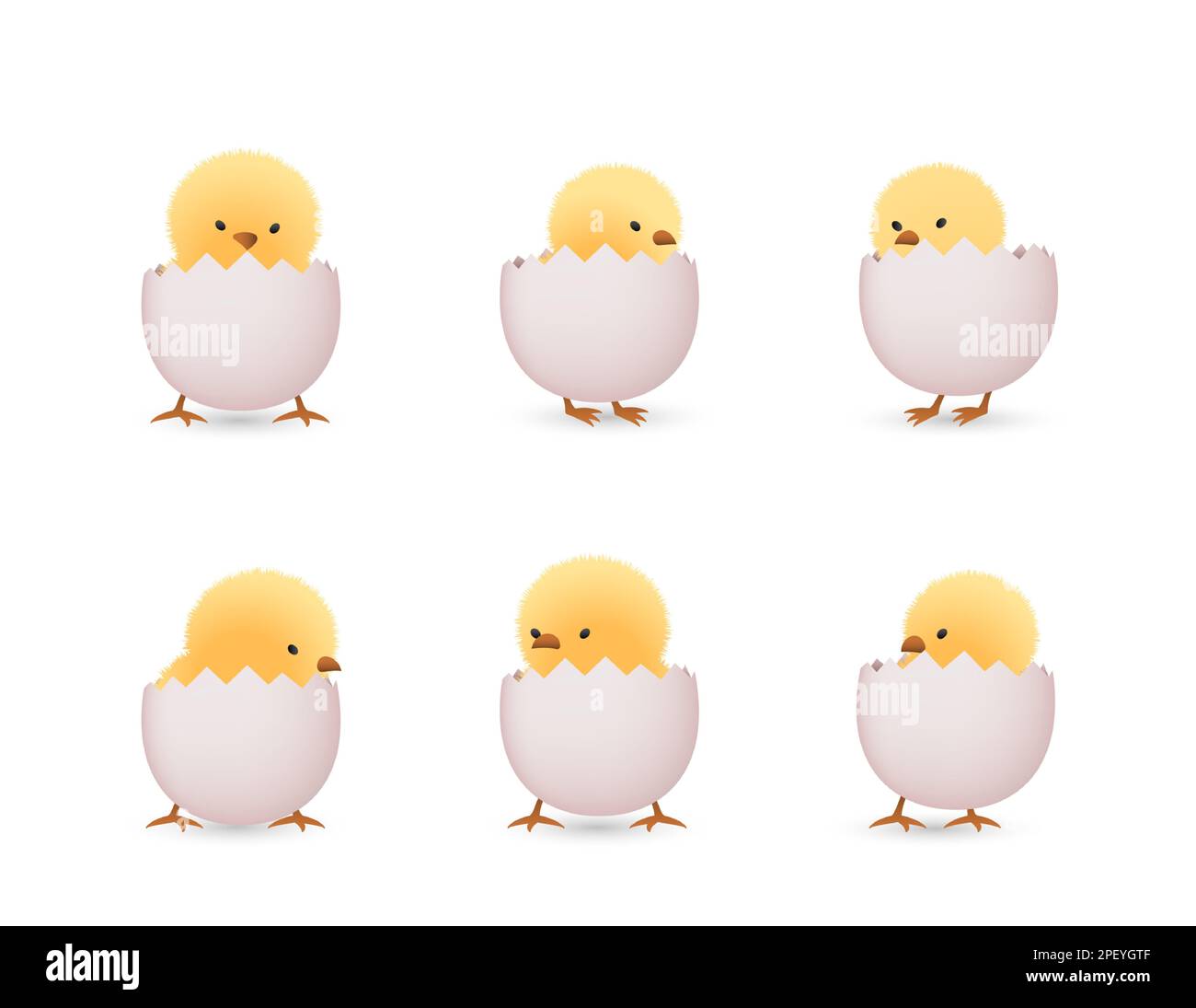 Chicks in lower part of white broken eggs  set Stock Vector