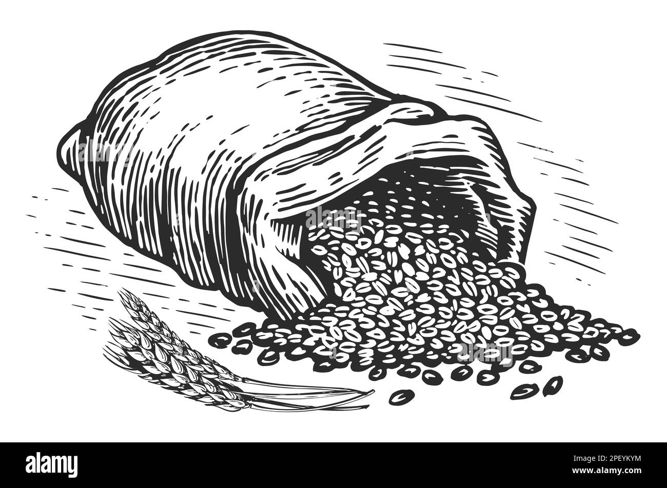 Buckwheat grains Black and White Stock Photos & Images Alamy