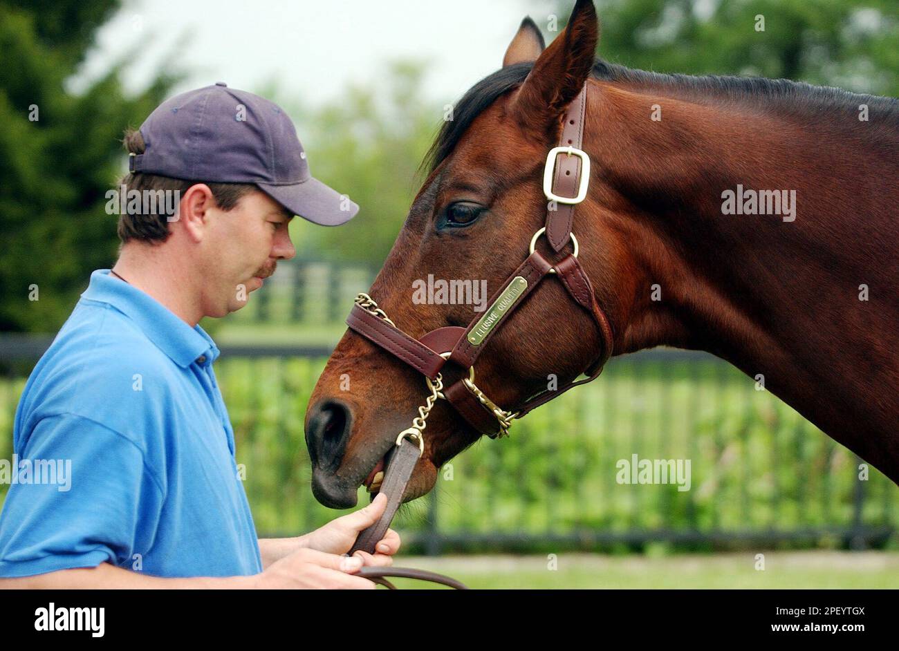 Elusive Quality, sire of 2004 Kentucky Derby winner Smarty Jones, tries to bite stallion foreman