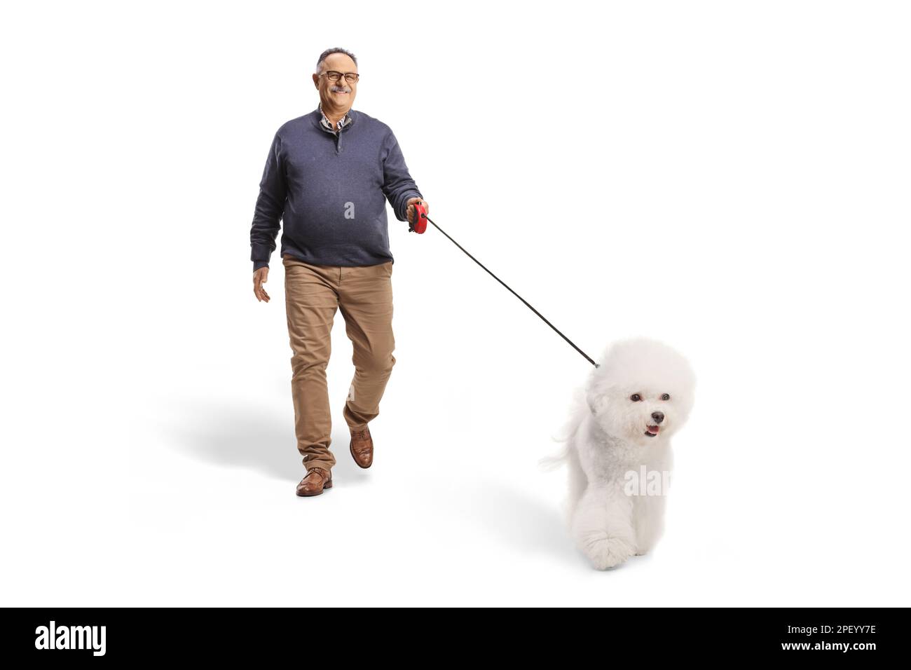 Mature man walking a bichon frise dog isolated on white background Stock Photo