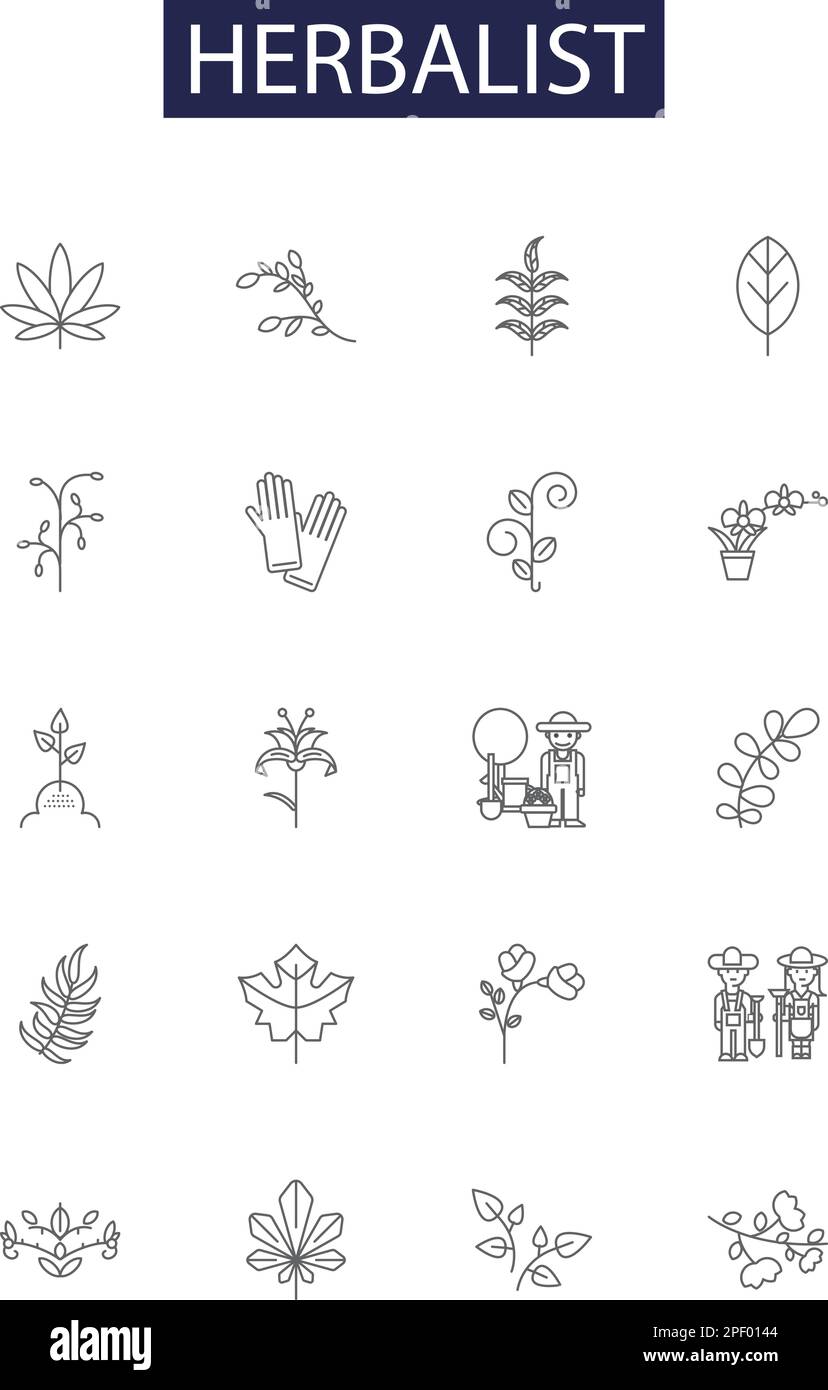 Herbalist line vector icons and signs. Herbalism, Herbs, Herbology, Botany, Medicinal, Plants, Remedies, Natural outline vector illustration set Stock Vector