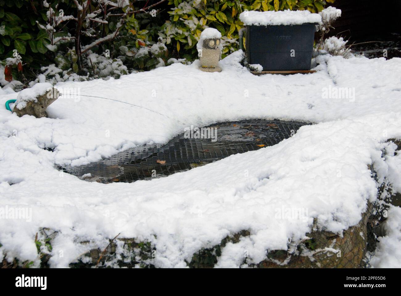 Netted garden pond with accumulated snow in winter, held in place by the net, with a stream of water keeping the pond partly open Stock Photo