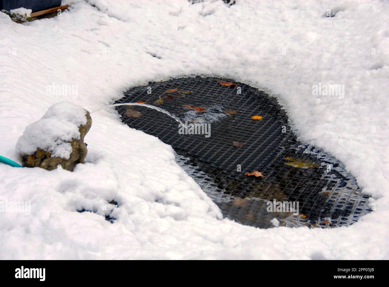 Netted garden pond with accumulated snow in winter, held in place by the net, with a stream of water keeping the pond partly open Stock Photo