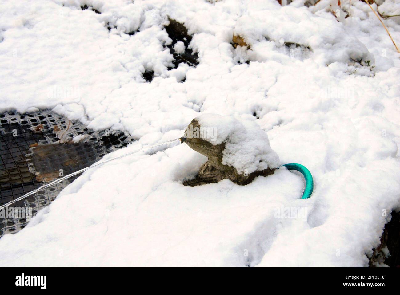 Netted garden pond with accumulated snow in winter, held in place by the net, with a stream of water keeping the pond partly open Stock Photo