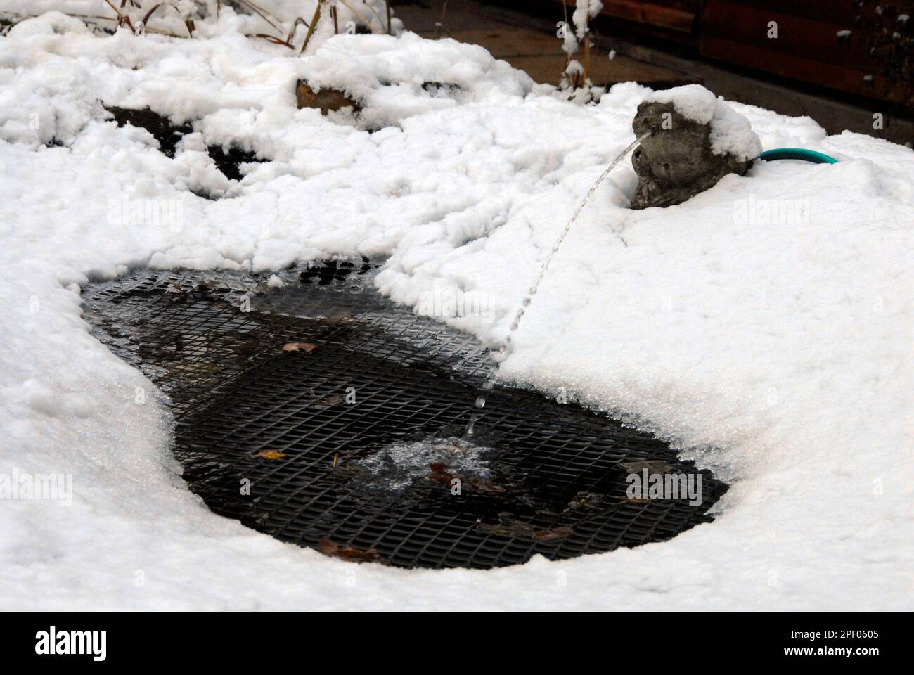 Netted garden pond with accumulated snow in winter, held in place by the net, with a stream of water keeping the pond partly open Stock Photo