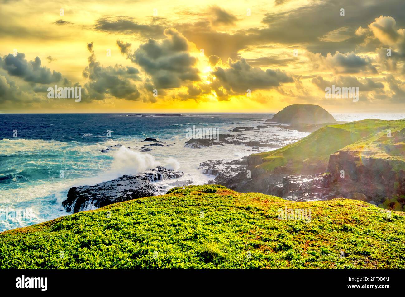 Green Meadow, Coastline, Ireland Stock Photo