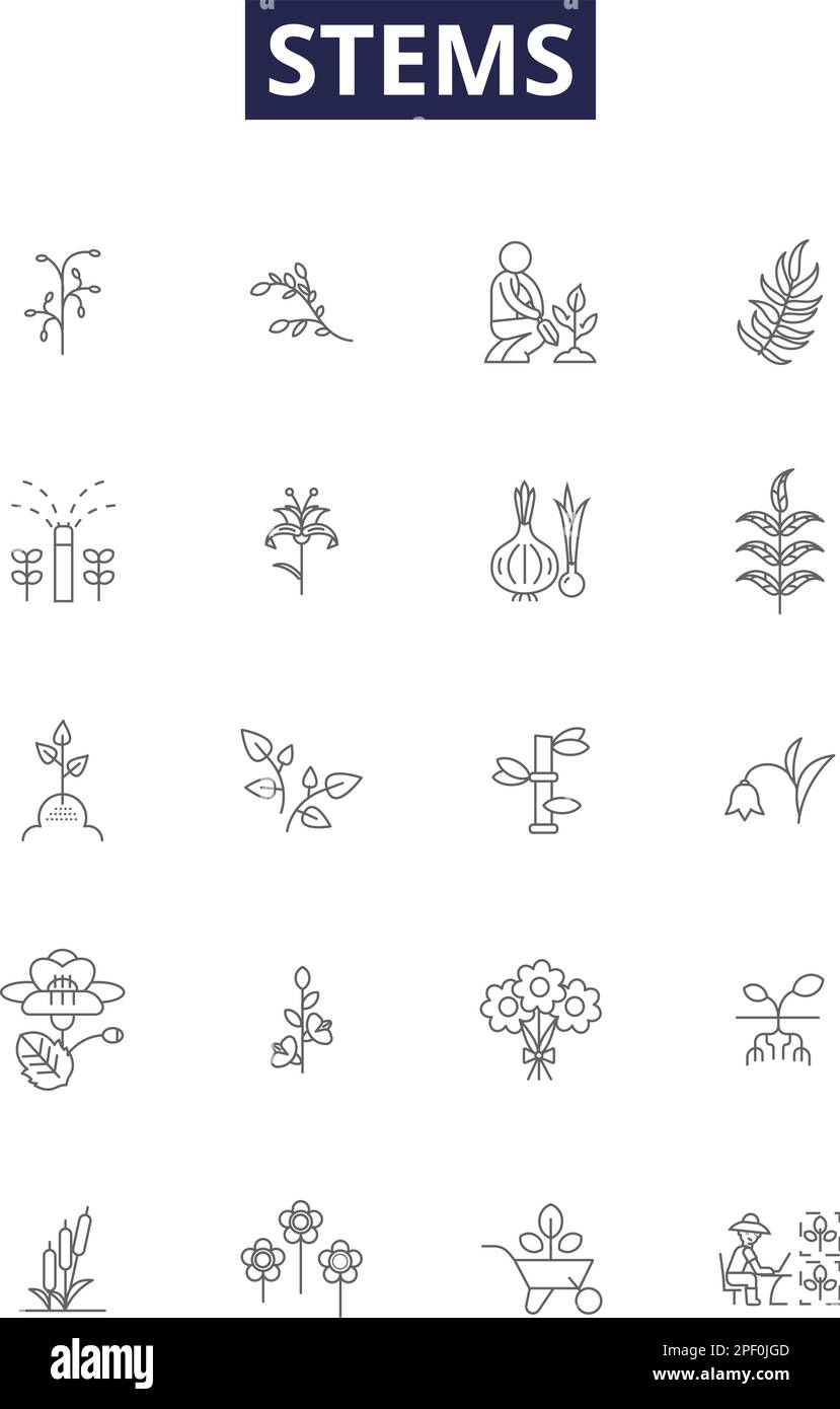 Stems line vector icons and signs. Culm, Pedicel, Culms, Stipes, Stemmed, Petiole, Peduncle, Shoot outline vector illustration set Stock Vector