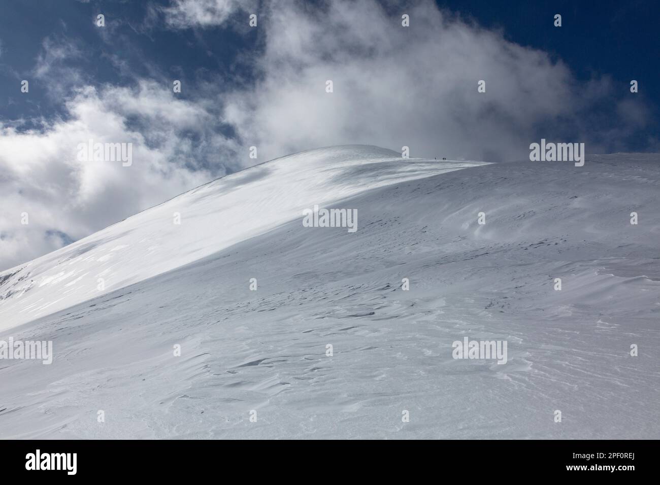 Active layer hi-res stock photography and images - Alamy