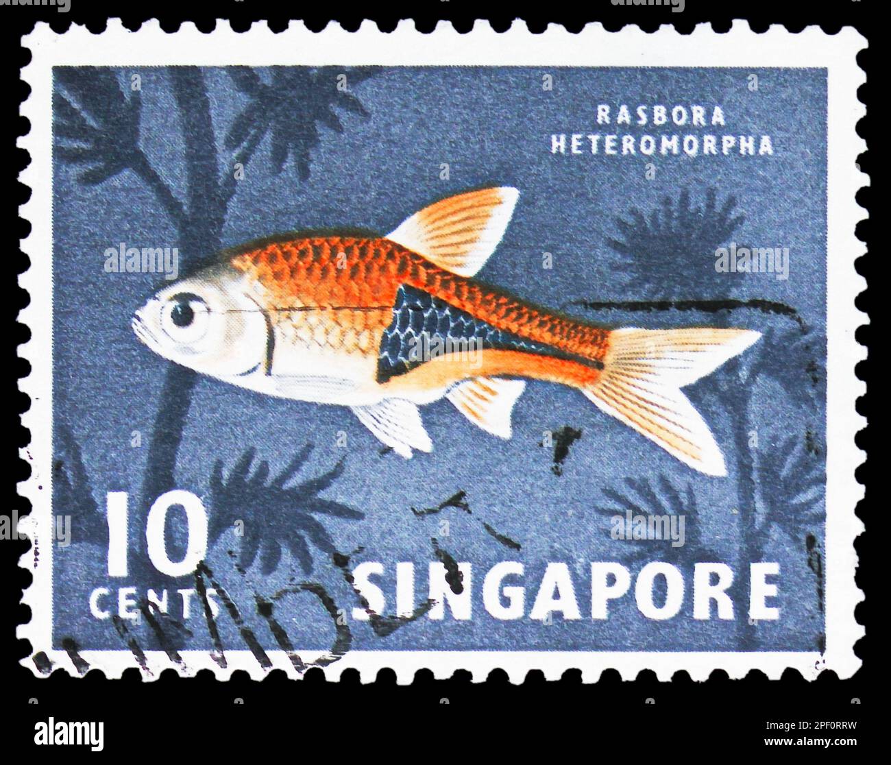 MOSCOW, RUSSIA - FEBRUARY 17, 2023: Postage stamp printed in Singapore shows Harlequin Rasbora (Rasbora heteromorpha), Flora and Fauna serie, circa 19 Stock Photo