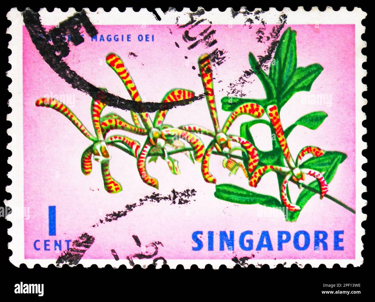 MOSCOW, RUSSIA - FEBRUARY 17, 2023: Postage stamp printed in Singapore shows Arachnis maggie oei, Flora and Fauna serie, circa 1963 Stock Photo