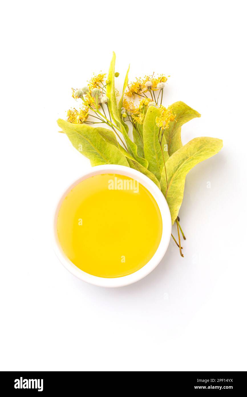 Isolated Honey bee in white bowl and linden glower on white background. Bee products. Healthy organic food concept. Top view Stock Photo