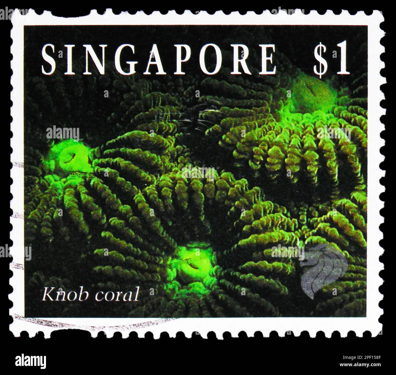 MOSCOW, RUSSIA - FEBRUARY 17, 2023: Postage stamp printed in Singapore shows Knob Coral (Favia sp.), Reef Life Definitives (1994-1997) serie, circa 19 Stock Photo