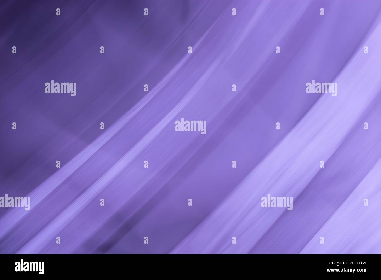 Purple abstract background banner with lines waves and gradient ...